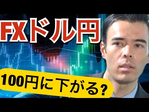 FX ドル円、１００円まで下がる？（動画）