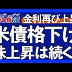 米国債格付け引下げで米国売りは続く？｜米国債は$55兆規模で世界最大｜利益成長,金利, リスクプレミアムから判断する米国株の先行き｜割高でも長期では上昇実績のある米国株【米国株投資】2025.5.20（動画）