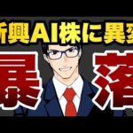 【暴落】新興AI株に異変（動画）