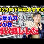 【下半期お勧め株】大暴落のこの株買い増しした！（動画）