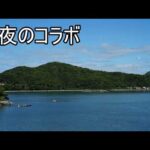 深夜のゆるいコラボ配信（動画）