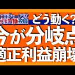 今の米国金融市場は異常な状況｜米国離れで資金は欧州株と日本株へ｜年初来+16.1%VXUS を徹底解説｜ABUSAトレードは短期サテライト50％がオススメ【米国株投資】2025.6.11（動画）