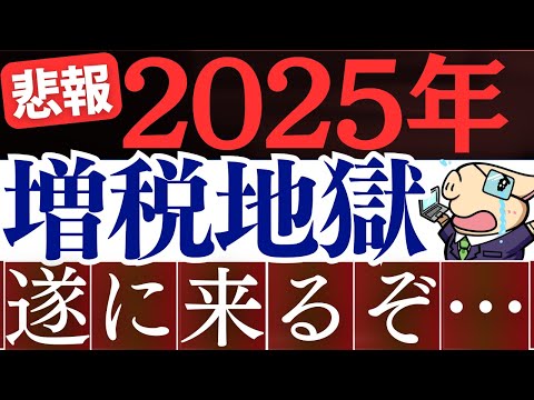 【悲報】2025年以降、政府の増税計画がヤバいです…。手取り減少で貯金が不可能に…。（動画）