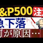 【警告】S&P500＆日本株も大幅下落…！原因＆今後の最悪シナリオは…？（動画）