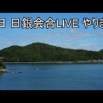 明日もバク上げ 確定！（動画）