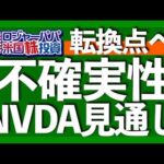 松井証券大山さん徹底解説｜25年上半期の重要点振り返り｜消費が示す米経済の強固さ｜エヌビディア今から買う？売る？｜テスラの現状と今後｜LGBT特化出会い銘柄｜今後必要な投資戦略とは？2025.7.31（動画）
