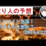 【仮想通貨】ビットコインは、ここが大底か？今後の相場の展望（動画）