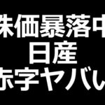 日産株とんでもないことに（動画）