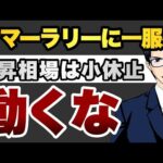 動くな！　サマーラリーに一服感　上昇相場は小休止（動画）
