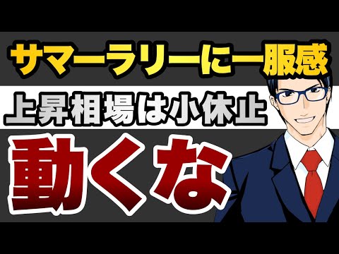 動くな！　サマーラリーに一服感　上昇相場は小休止（動画）