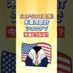 【慌てなくてOK】米雇用統計ショックでS&P500急落…今後どうなる？（動画）
