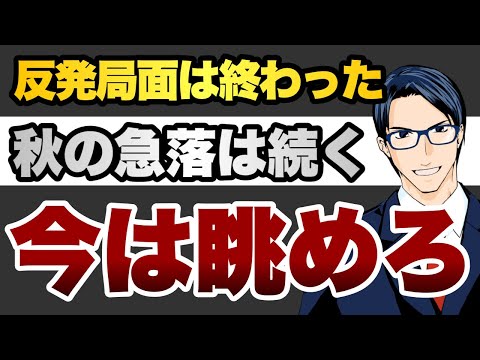 【今は眺めろ】反発局面は終わった　秋の急落は続く（動画）