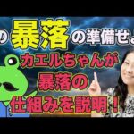 次の暴落の準備をせよ！カエルちゃんが暴落の仕組みを説明（動画）