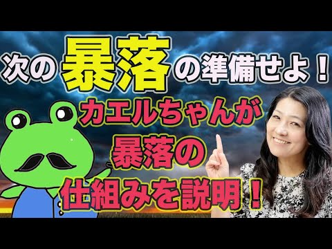 次の暴落の準備をせよ！カエルちゃんが暴落の仕組みを説明（動画）