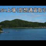 BLSH 本日上場（動画）