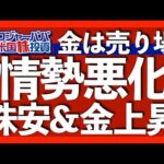 再び最高値近辺のゴールドは売り時｜イランがイスラエル大都市テルアビブを攻撃開始｜原油急騰で米株は下落へ｜米インフレの問題点は住宅関連+3.9%【米国株投資】2025.6.15（動画）