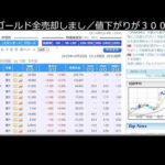 祝！　日経平均　上場来高値（動画）