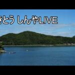ネギたま牛丼の卵は黄身だけか白身もかを議論する（動画）