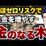 【金のなる木】ほぼゼロリスクでお金を増やす（動画）