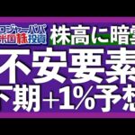 最も嫌われたV字回復とは？｜ウォール街は下半期わずか+1%を予想｜関税でインフレは悪化しない｜M7が割高でも株価上昇が続く理由｜過去最大$7.4兆もの待機資金がある【米国株投資】2025.7.21（動画）