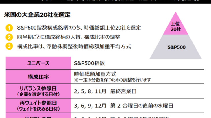 iシェアーズS&P500トップ20ETF【313A】とは