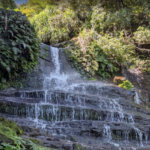 新NISAか？繰り上げ返済か？子育て世代が直面する金利上昇