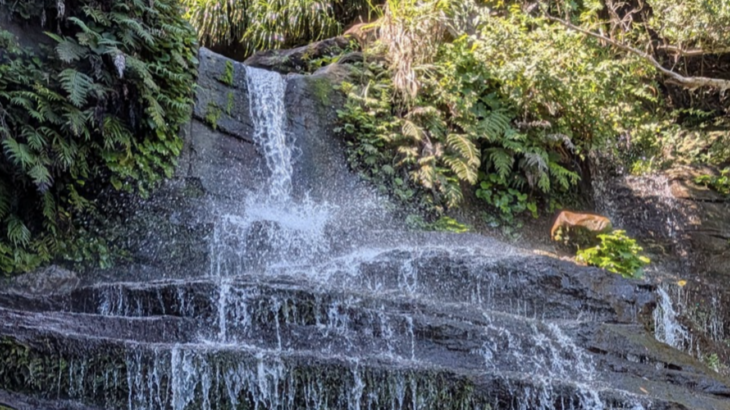 新NISAか？繰り上げ返済か？子育て世代が直面する金利上昇