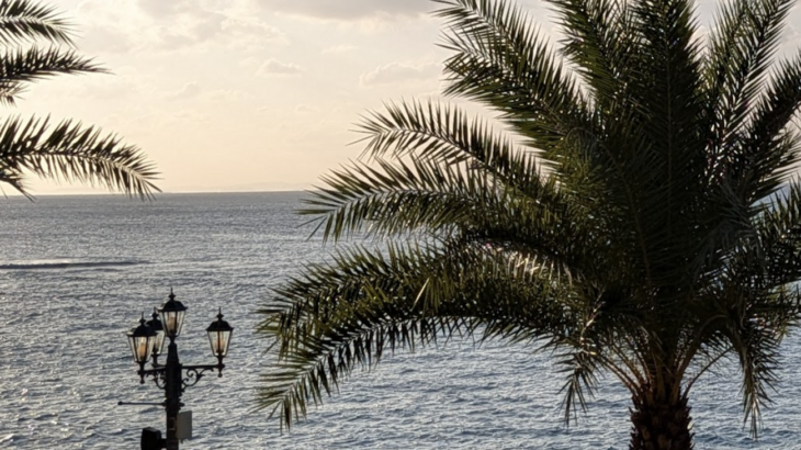 投資とは未来の自由を買う行為、FIREは投資の結果の１つ